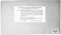 Naohidemyces vaccinii image